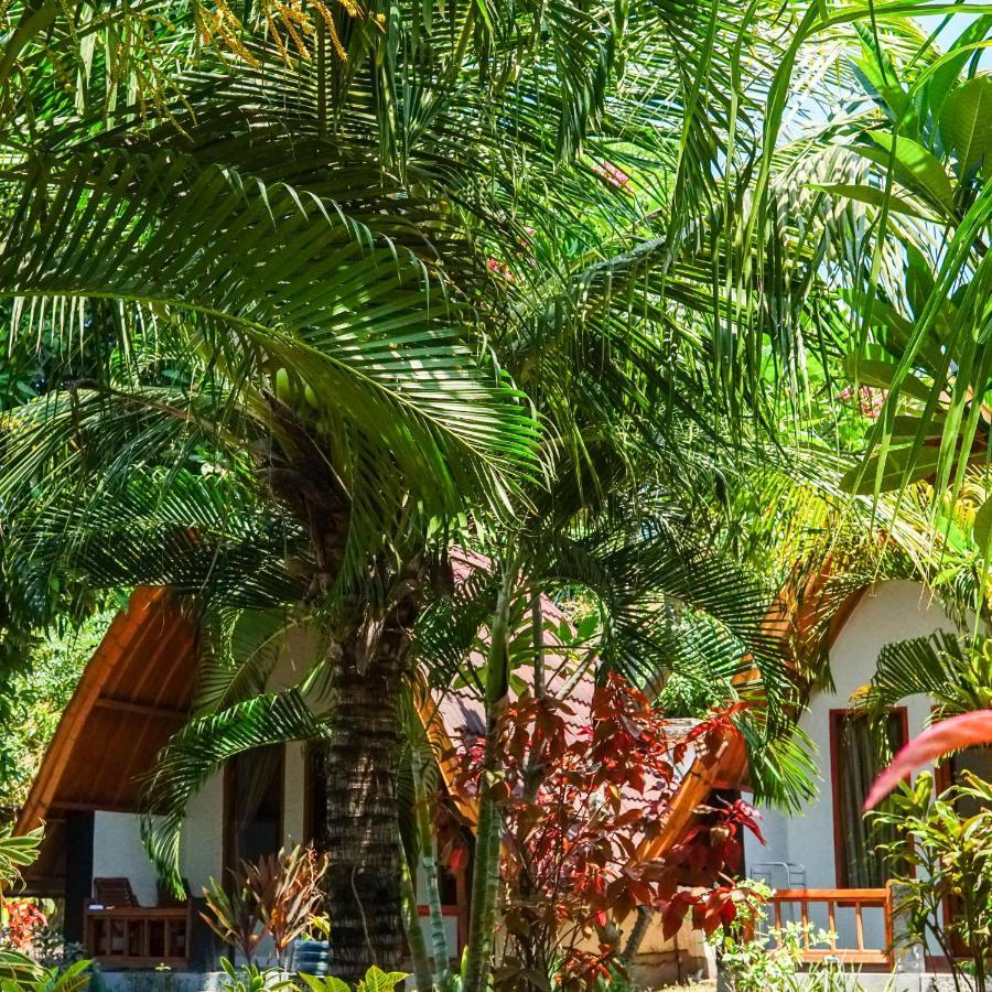 Florine'S Garden Hotel Gili Islands Exterior photo